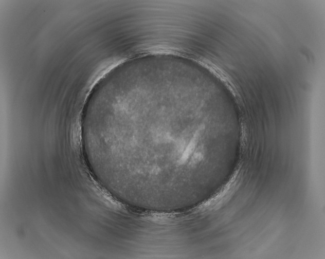 X0000111800782200908201152