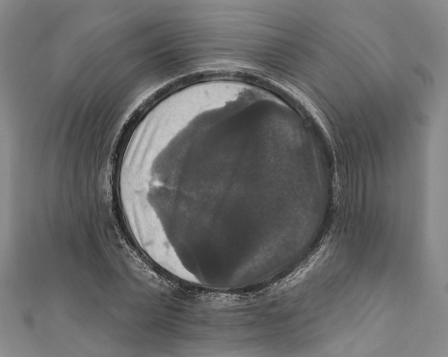 X0000111800783200908201152