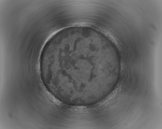 X0000111800784200908201152