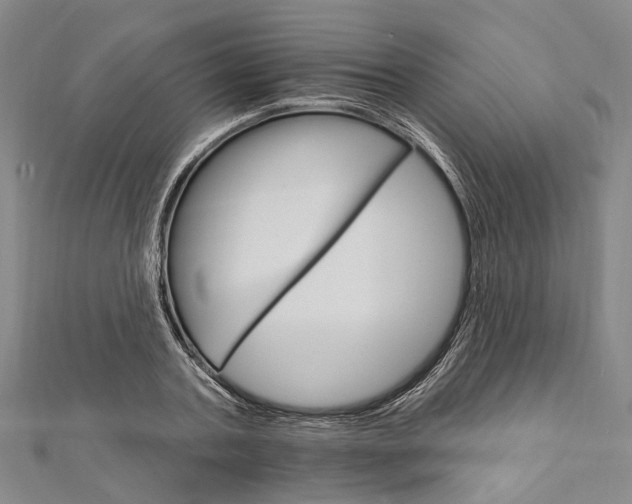 X0000111800787200908201152