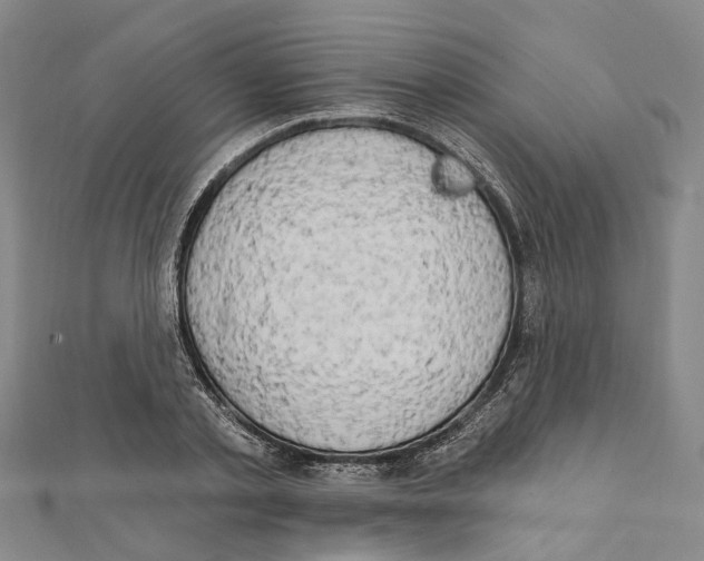 X0000111800789200908201152