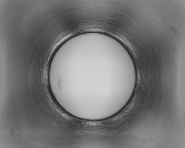 X0000111800790200908201152