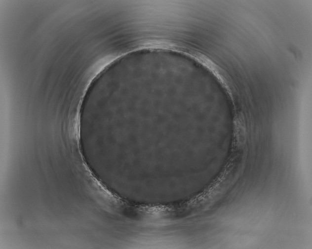 X0000111800791200908201152