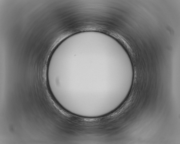 X0000111800794200908201152