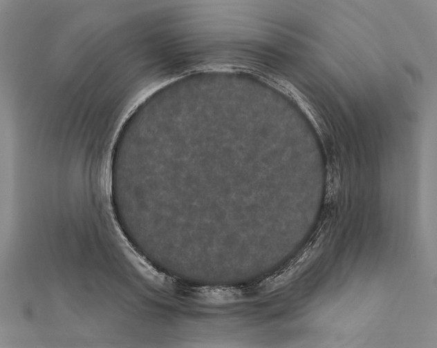 X0000111800795200908201152