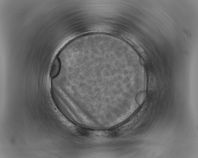 X0000111800796200908201152