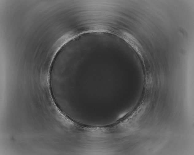 X0000111800797200908201152