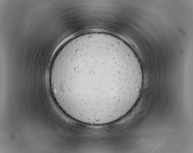 X0000111800798200908201152
