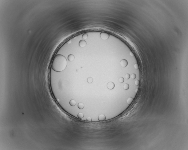 X0000111800799200908201152