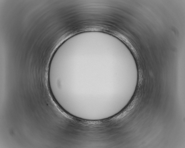 X0000111800802200908201152