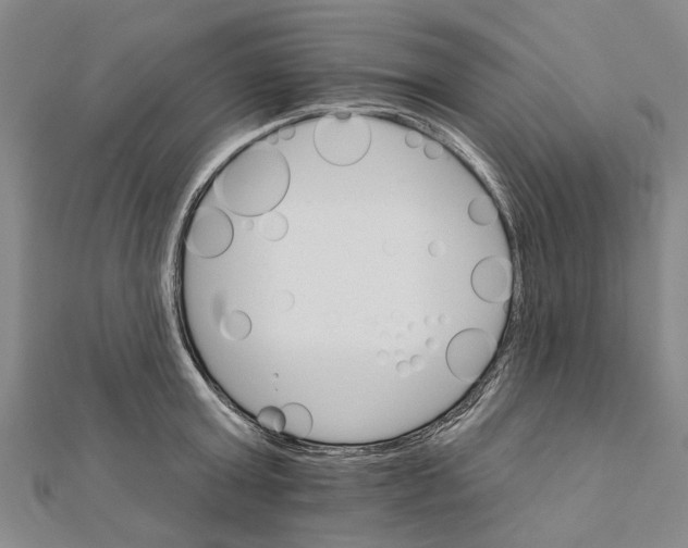 X0000111800803200908201152