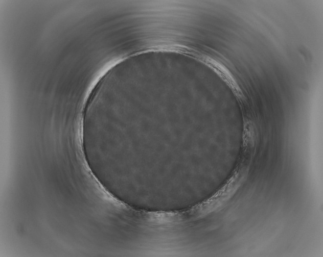 X0000111800804200908201152