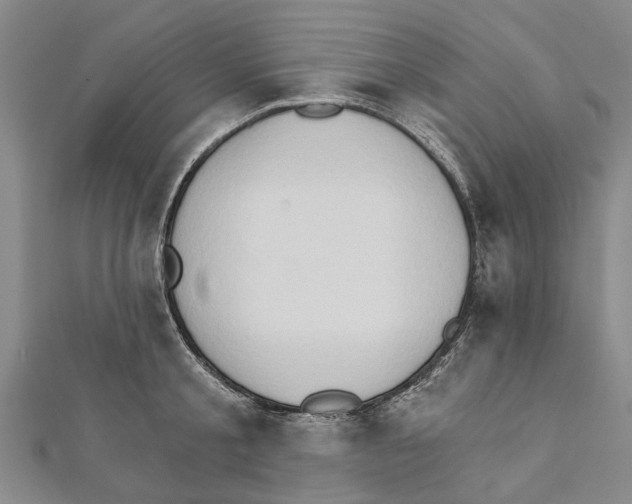 X0000111800805200908201152