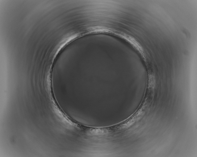 X0000111800806200908201152