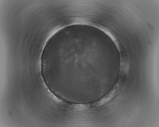 X0000111800807200908201152