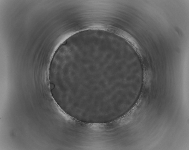 X0000111800808200908201152