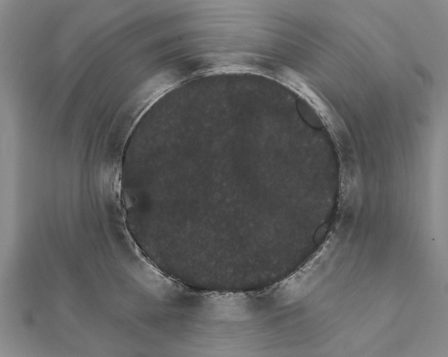 X0000111800809200908201152