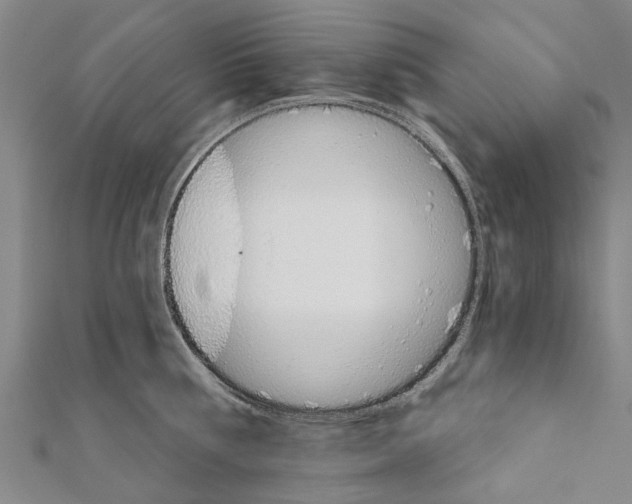 X0000111800810200908201152