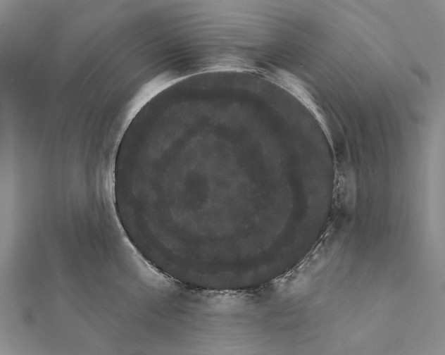 X0000111800811200908201152