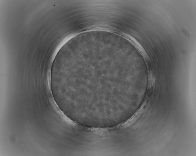 X0000111800812200908201152