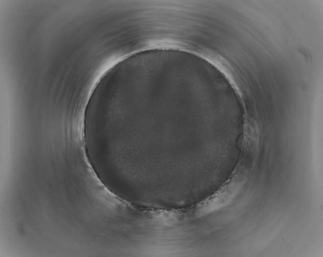 X0000111800815200908201152