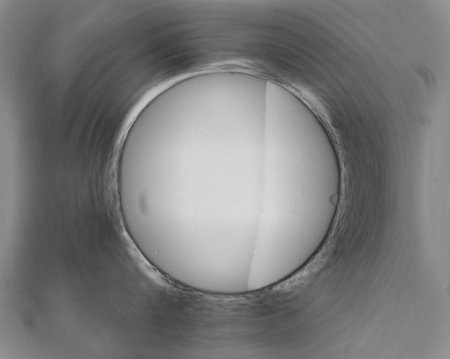X0000111800816200908201152