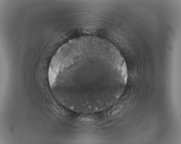 X0000111800817200908201151