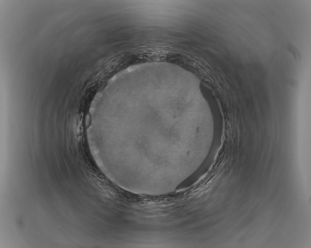 X0000111800818200908201151