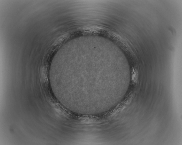 X0000111800819200908201151
