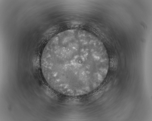 X0000111800820200908201151