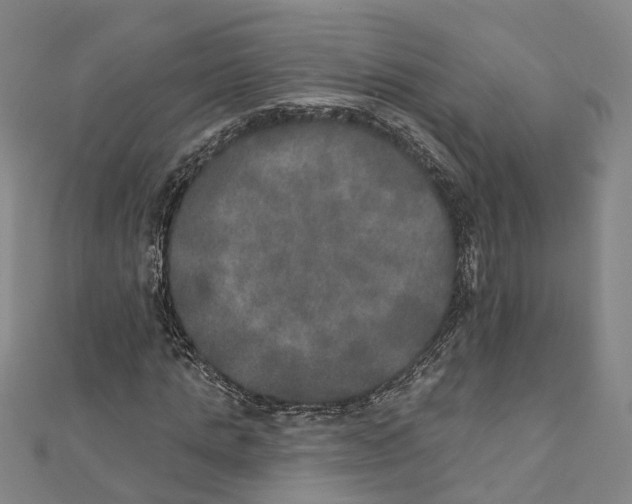 X0000111800821200908201151