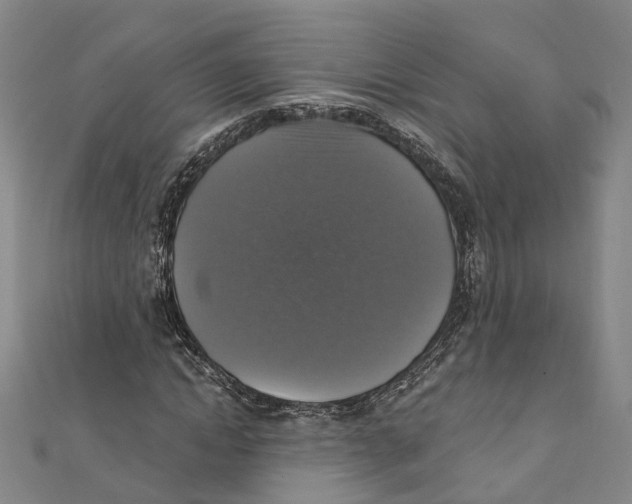 X0000111800822200908201151