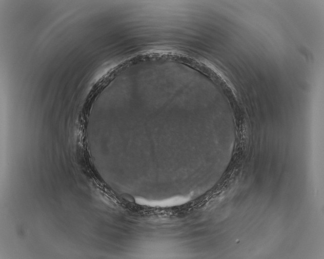 X0000111800823200908201151