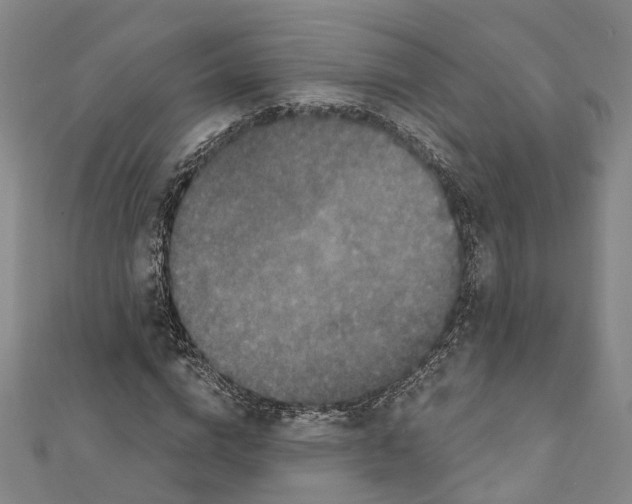 X0000111800824200908201151