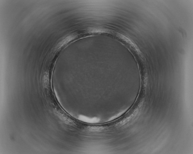 X0000111800825200908201151