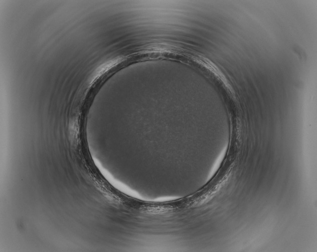 X0000111800826200908201151