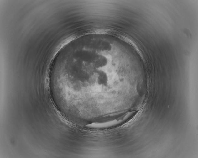 X0000111800827200908201151