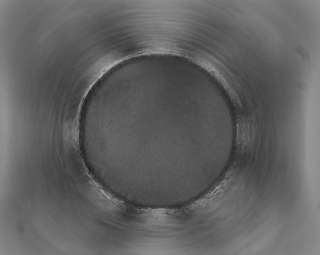 X0000111800828200908201151
