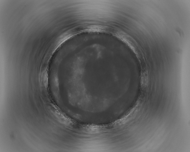 X0000111800829200908201151
