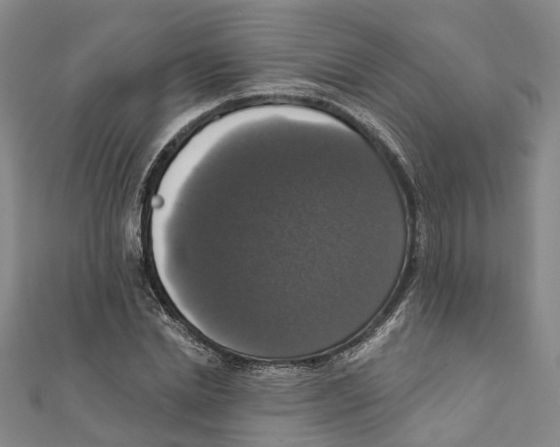 X0000111800830200908201151