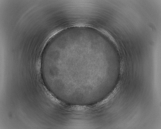 X0000111800831200908201151