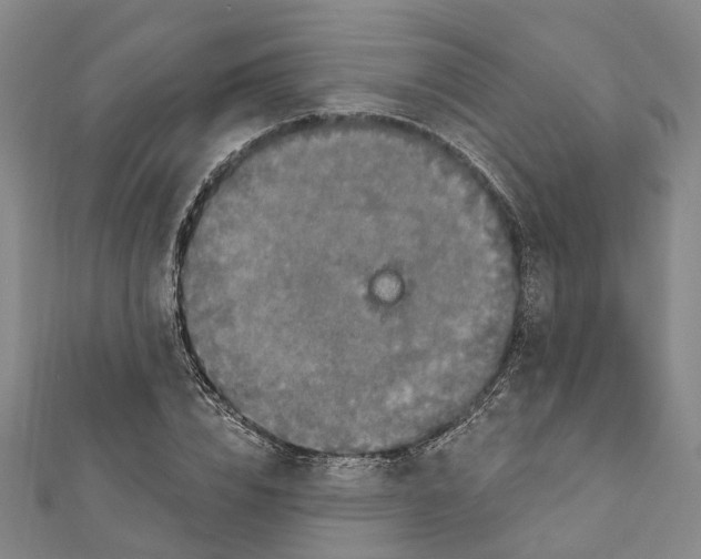 X0000111800832200908201151