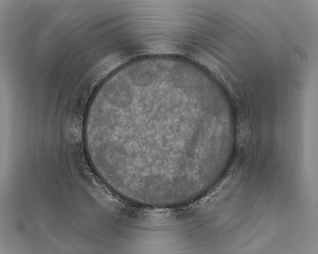 X0000111800833200908201151