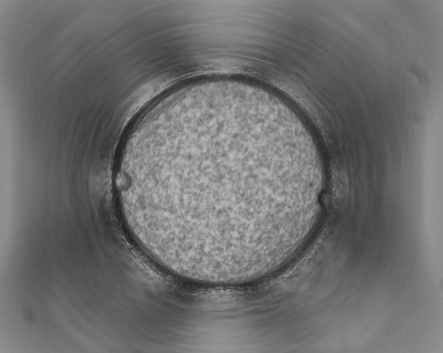 X0000111800834200908201151