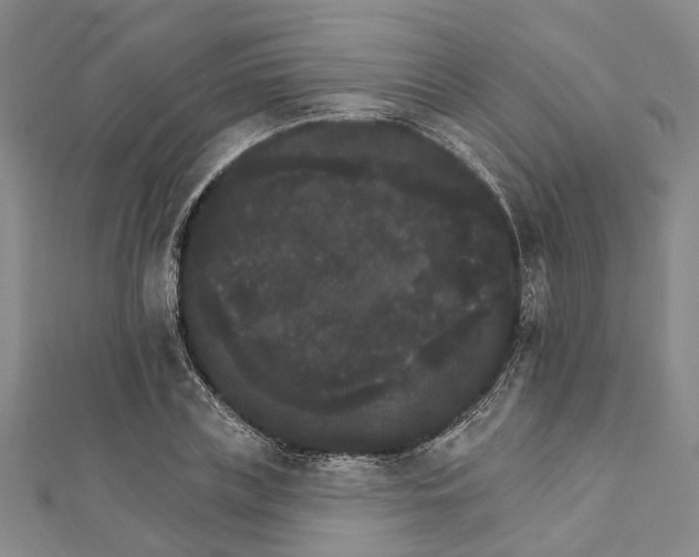 X0000111800835200908201151