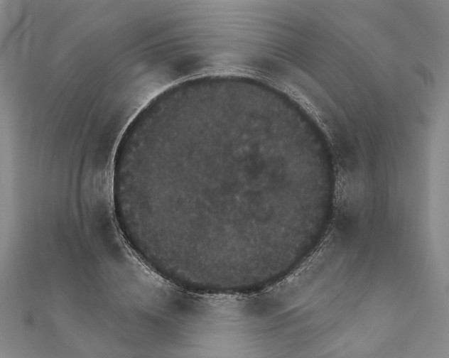 X0000111800836200908201151