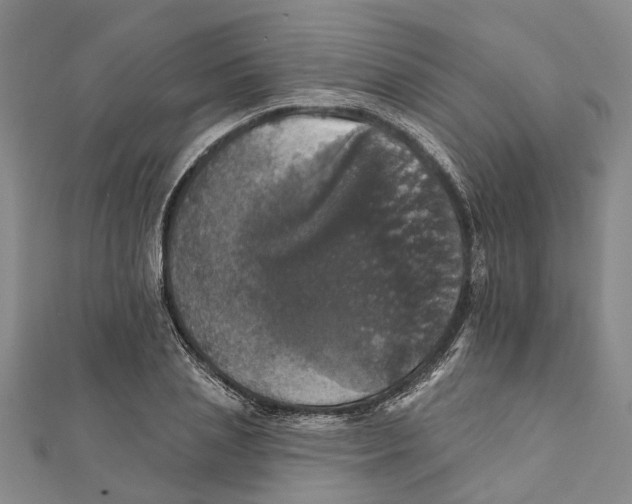 X0000111800837200908201151