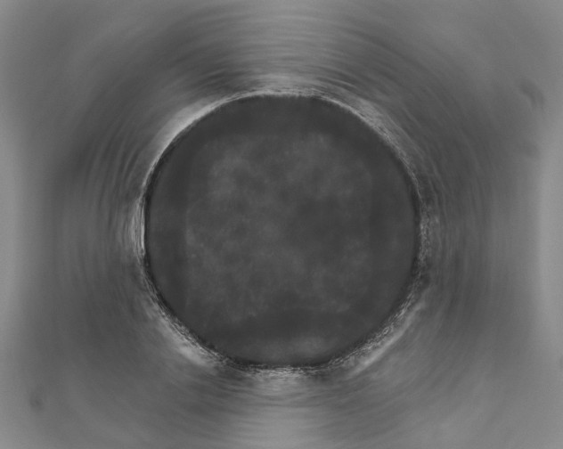 X0000111800838200908201151