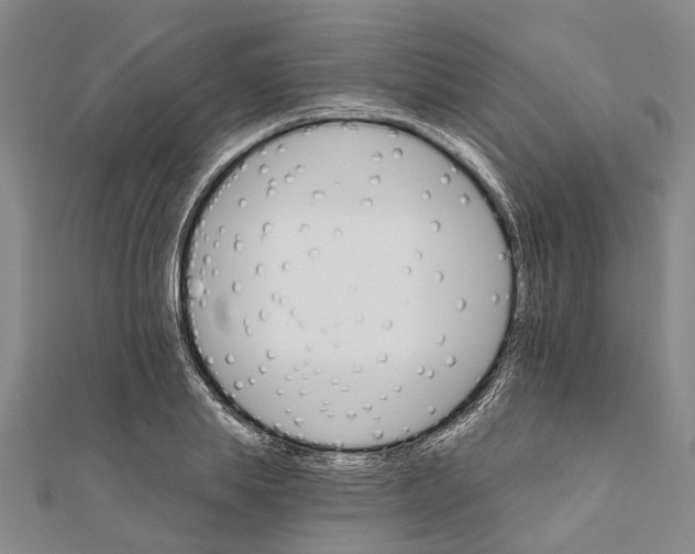 X0000111800839200908201151