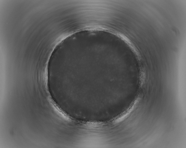 X0000111800840200908201151